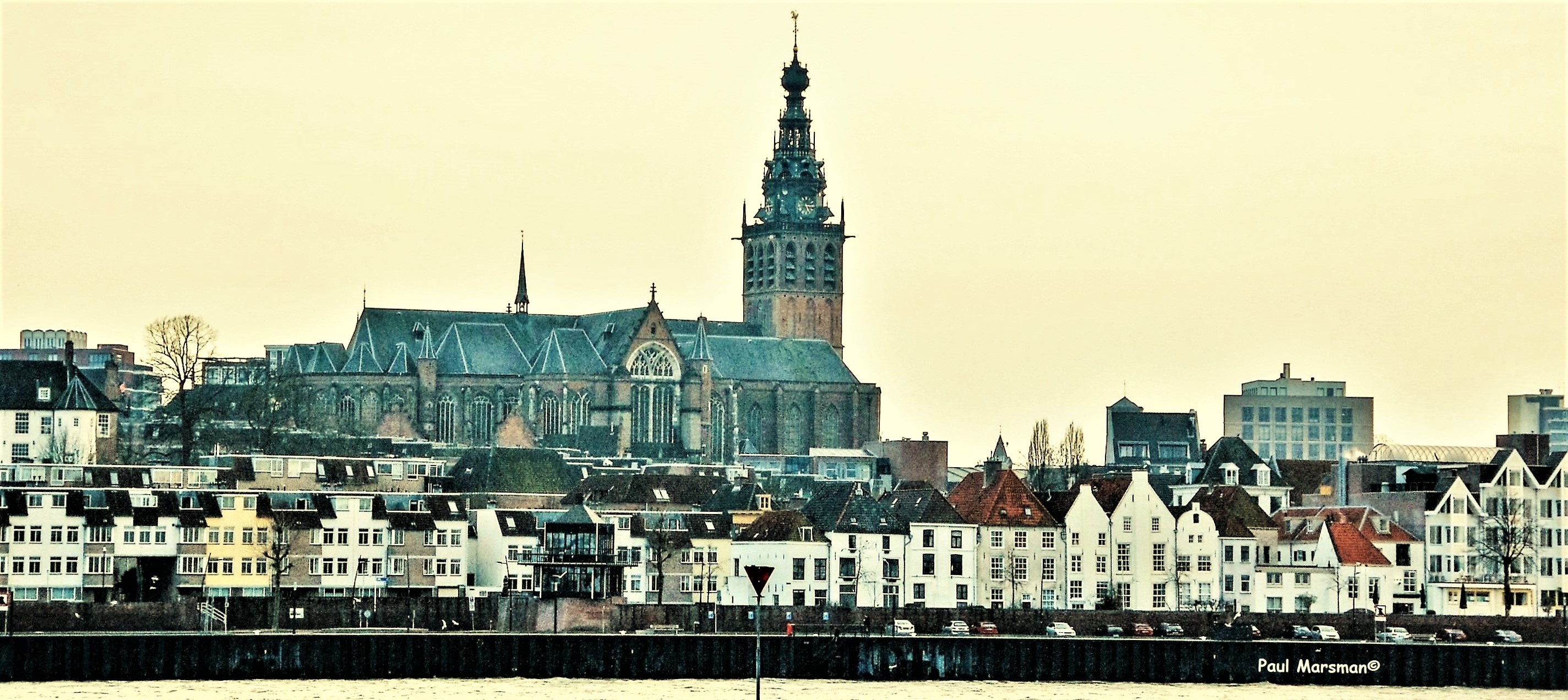 DSC 0038 6 edited naam 1024x158 smal hoogte